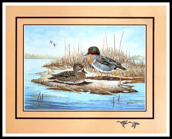 AK VH6226 Green Winged Teal